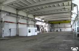 Hala 1200 mp Multiple Activitati Industriale !