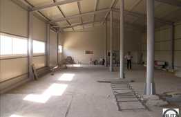 550 mp. Spatiu Pentru Service Auto/ Depozitare / Productie !