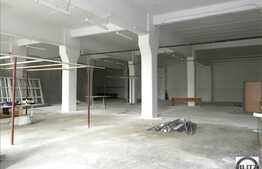 Spatiu industrial in zona cu specific. Acces tir, compartimentabil!