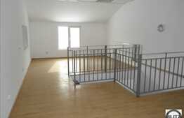 Hala constructie noua, 200 mp utili!