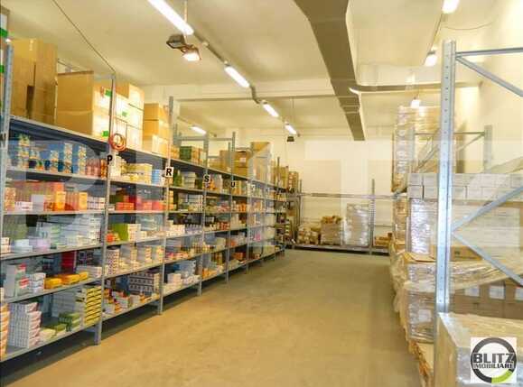 Spațiu industrial de închiriat Marasti - 22268SII | BLITZ Cluj-Napoca | Poza3