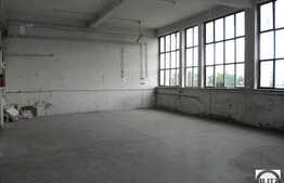 Spatiu din marasti pentru depozitare sau productie usoara. Lift de marfa!