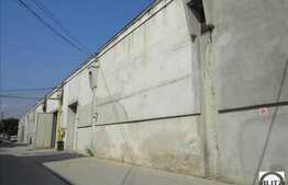 Spatii industriale generoase. Acces si conditii maxime!