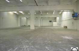 Spatii industriale generoase. Acces si conditii maxime!