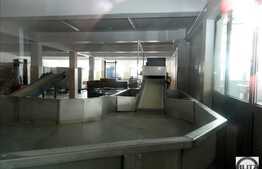 Camere de congelare cu acces TIR, constructie noua, 67 mp