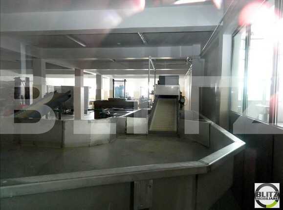 Spațiu industrial de închiriat Apahida - 22299SII | BLITZ Cluj-Napoca | Poza6