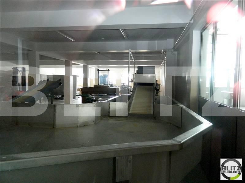 Spațiu industrial de închiriat Apahida - 22299SII | BLITZ Cluj-Napoca | Poza6