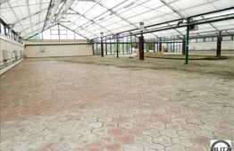 Spatiu 2800 mp, teren 10677 mp