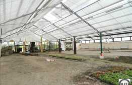 Spatiu 2800 mp, teren 10677 mp