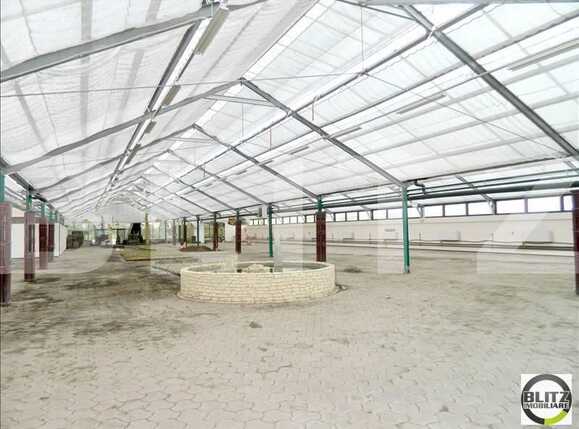 Spațiu industrial de închiriat Apahida - 22301SII | BLITZ Cluj-Napoca | Poza3