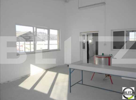 Spațiu industrial de închiriat Apahida - 22303SII | BLITZ Cluj-Napoca | Poza12