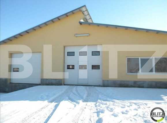 Spațiu industrial de închiriat Apahida - 22303SII | BLITZ Cluj-Napoca | Poza13
