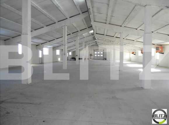 Spațiu industrial de închiriat Apahida - 22303SII | BLITZ Cluj-Napoca | Poza1