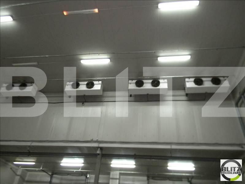 Spațiu industrial de închiriat Exterior Sud - 22315SII | BLITZ Cluj-Napoca | Poza3