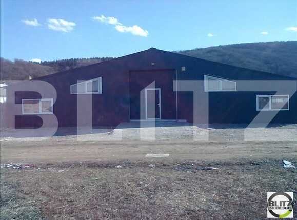 Spațiu industrial de închiriat Exterior Vest - 22323SII | BLITZ Cluj-Napoca | Poza1
