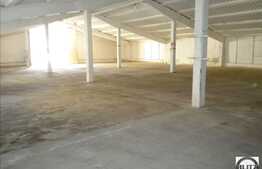 Hala cu 550 mp utili in zona accesibila!