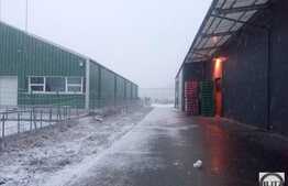 Hala de inchiriat, 2500 mp utili, zona Exterior Est!