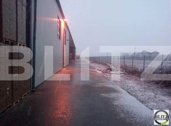 Spațiu industrial de închiriat Exterior Est - 22332SII | BLITZ Cluj-Napoca | Poza4