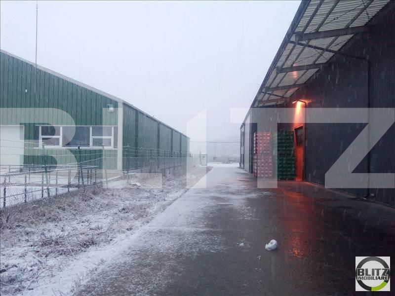 Spațiu industrial de închiriat Exterior Est - 22332SII | BLITZ Cluj-Napoca | Poza5