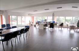 Hala de inchiriat 1100 mp utili, teren 1000 mp, imobil nou, acces la sosea!