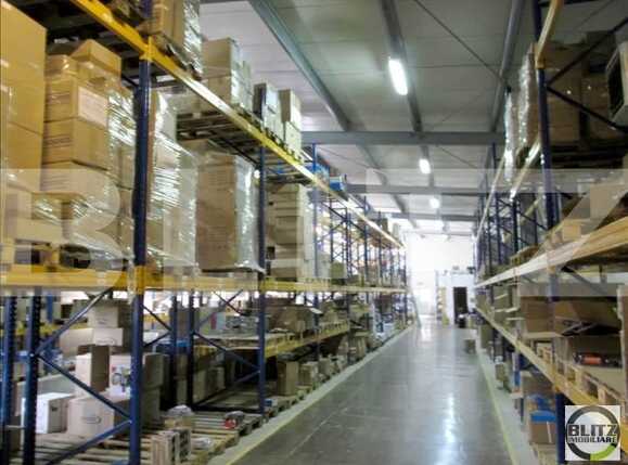 Spațiu industrial de închiriat Exterior Vest - 22344SII | BLITZ Cluj-Napoca | Poza6
