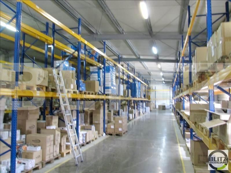 Spațiu industrial de închiriat Exterior Vest - 22344SII | BLITZ Cluj-Napoca | Poza2