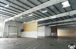 Hala de inchiriat cu 5000 mp, constructie noua zona Floresti