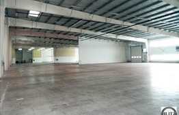 Hala de inchiriat cu 5000 mp, constructie noua zona Floresti