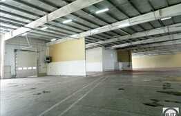 Hala de inchiriat cu 5000 mp, constructie noua zona Floresti