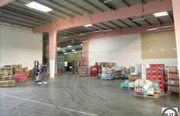 Hala cu birouri zona Vivo! 