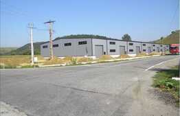 Complex logistic cu acces usor la Autostrada Transilvania! Intre 550-3300 mp !