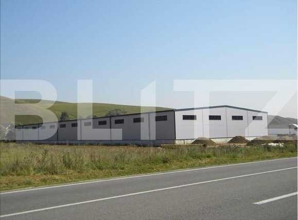 Spațiu industrial de închiriat Exterior Vest - 22350SII | BLITZ Cluj-Napoca | Poza3