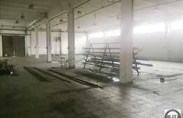 Spatiu industrial 1000 mp cu birouri amenajate, pretabil multiple activitati!