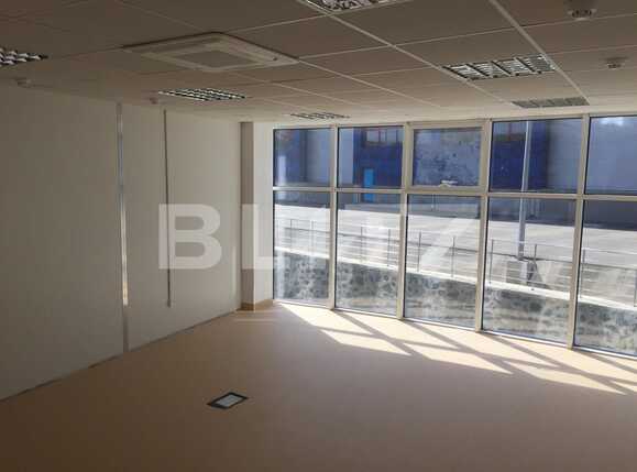 Spațiu industrial de închiriat Dambul Rotund - 22360SII | BLITZ Cluj-Napoca | Poza10