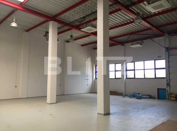 Spațiu industrial de închiriat Dambul Rotund - 22361SII | BLITZ Cluj-Napoca | Poza9