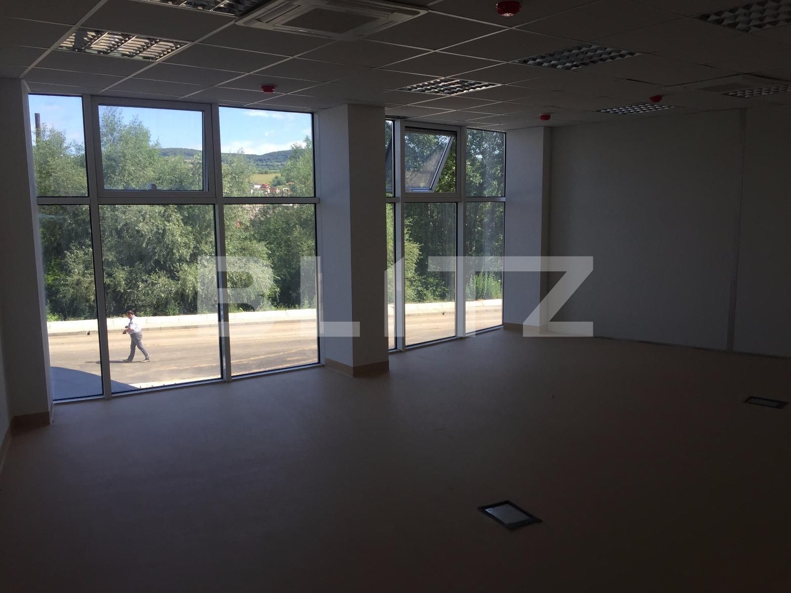 Spațiu industrial de închiriat Dambul Rotund - 22361SII | BLITZ Cluj-Napoca | Poza13