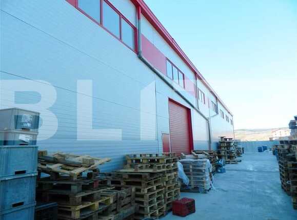 Spațiu industrial de închiriat Exterior Vest - 22365SII | BLITZ Cluj-Napoca | Poza3