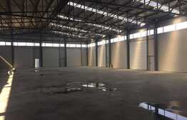 Hala moderna pentru orice fel de activitate!