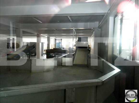 Spațiu industrial de închiriat Apahida - 22369SII | BLITZ Cluj-Napoca | Poza4