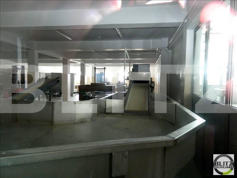 Spațiu industrial de închiriat Apahida - 22369SII | BLITZ Cluj-Napoca | Poza4