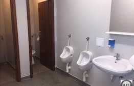 Hala moderna, 800 mp , open space,  pentru depozit si productie