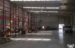Hala moderna, 800 mp , open space,  pentru depozit si productie