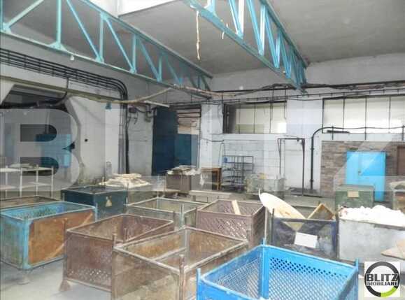 Spațiu industrial de închiriat Iris - 22381SII | BLITZ Cluj-Napoca | Poza4
