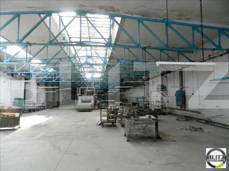 Spațiu industrial de închiriat Iris - 22381SII | BLITZ Cluj-Napoca | Poza2