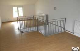 Inchiriere hala moderna, 220 mp utili, zona Iris!