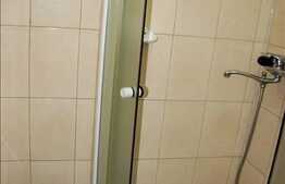 Apartament cu 1 camera de inchiriat, zona Facultatii de Medicina