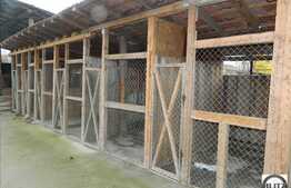 Inchiriere hala 300 mp, curte 400 mp, zona Clujana, 10 locuri de parcare