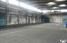 Hala, 1600 mp, zona Terapia, 5 locuri parcare, acces tir!