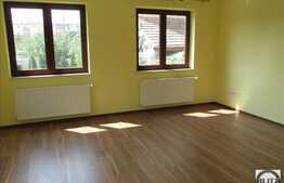 Spatiu birouri 110 mp utli plus 70 mp hala si curte 600 mp, acces tir!