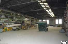 Spatiu generos cu pozitionare strategica! Zona cu specific industrial!